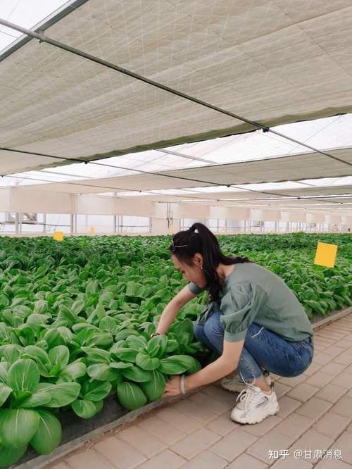 甘肃省首个富硒粮仓种植养殖生态园在兰州盛大开园